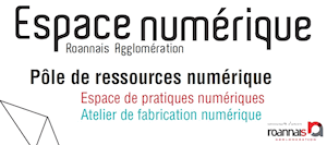 logo Espace Numérique Roannais